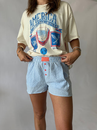 Striped Pastel Shorts in Blue